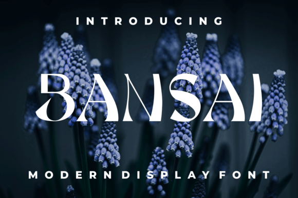 Choosing Bansai: A Font That Makes Your Brand Stand Out
